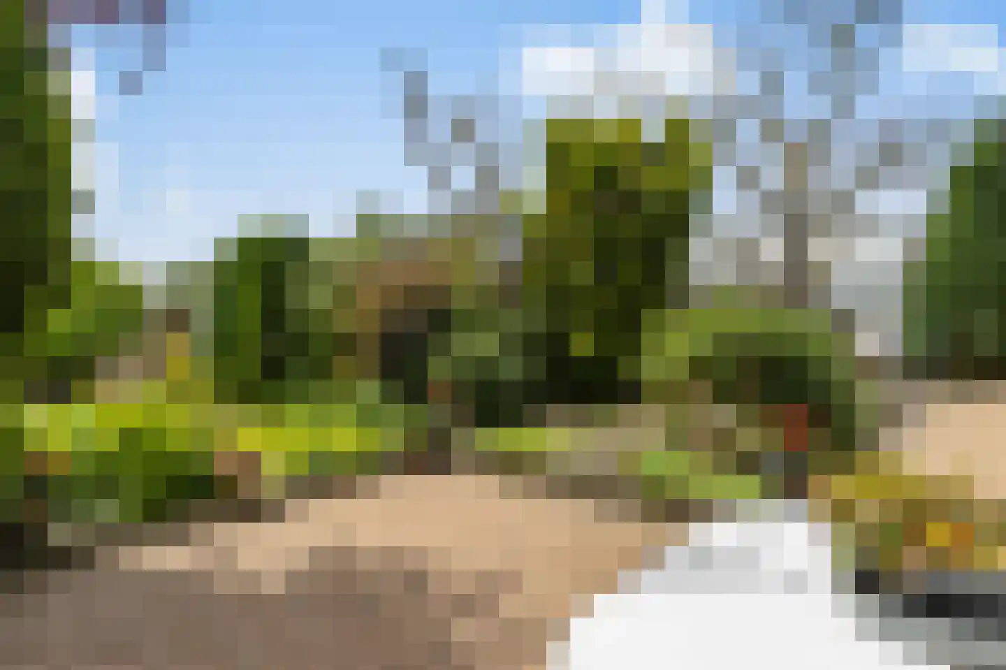 Maasdijk 335 Veen thumbnail 35