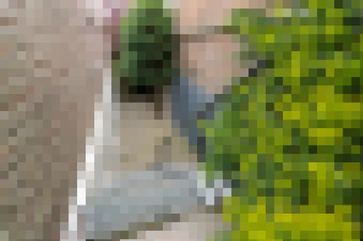 Maasdijk 335 Veen thumbnail 36