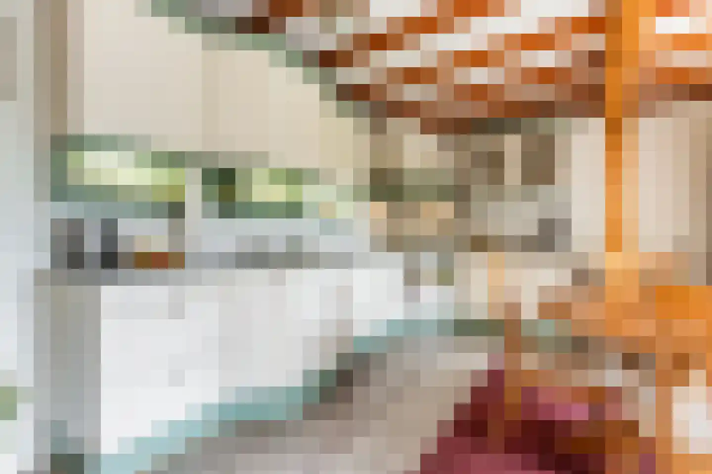 Maasdijk 335 Veen thumbnail 4