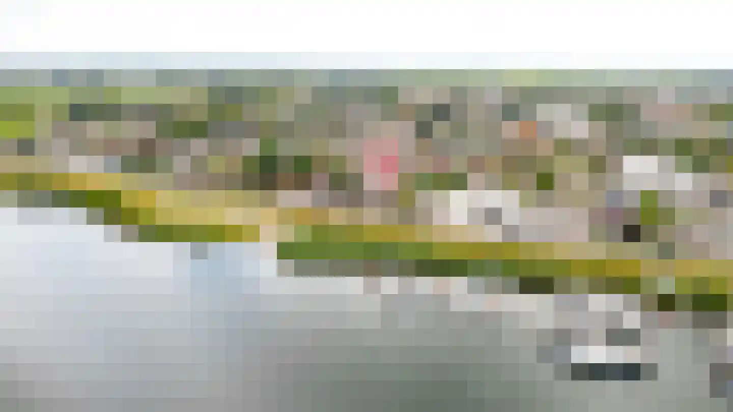 Maasdijk 335 Veen thumbnail 42