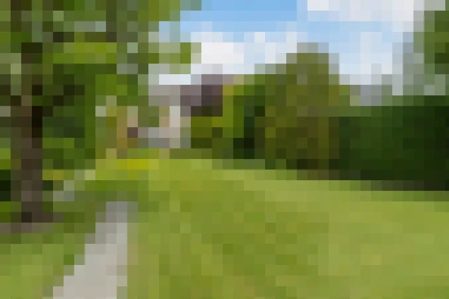 Maasdijk 335 Veen thumbnail 5