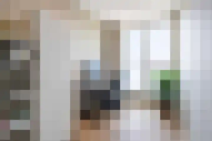 Maasdijk 337 Breda thumbnail 20