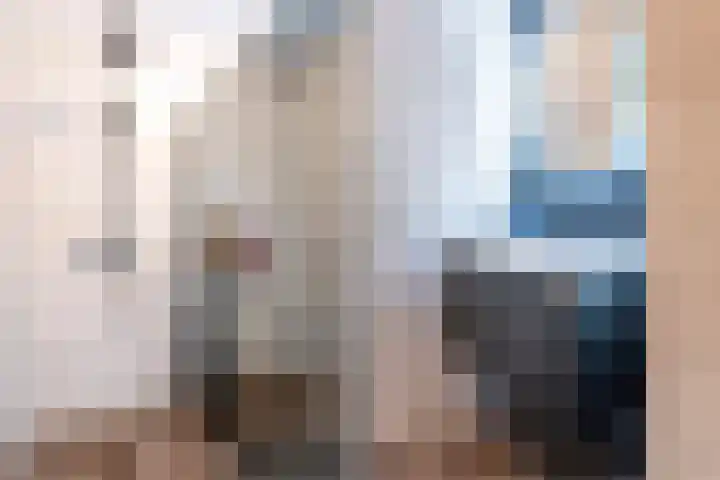 Maasdijk 337 Breda thumbnail 23