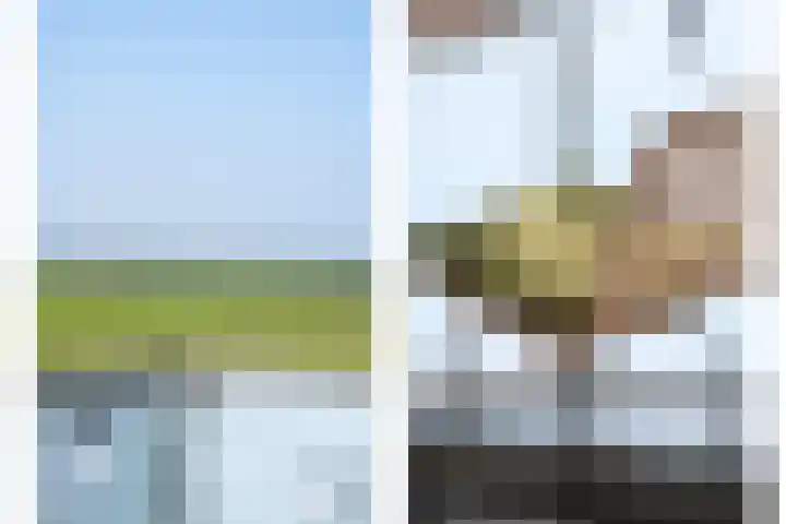 Maasdijk 337 Breda thumbnail 27