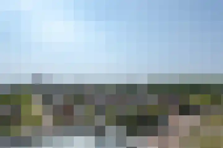 Maasdijk 337 Breda thumbnail 29
