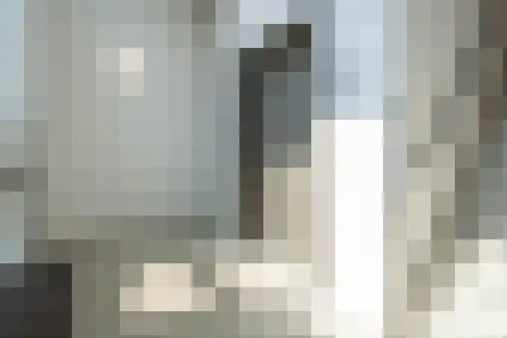 Maasdijk 337 Breda thumbnail 31