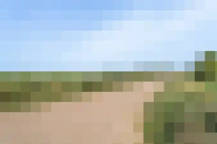 Maasdijk 337 Breda thumbnail 33