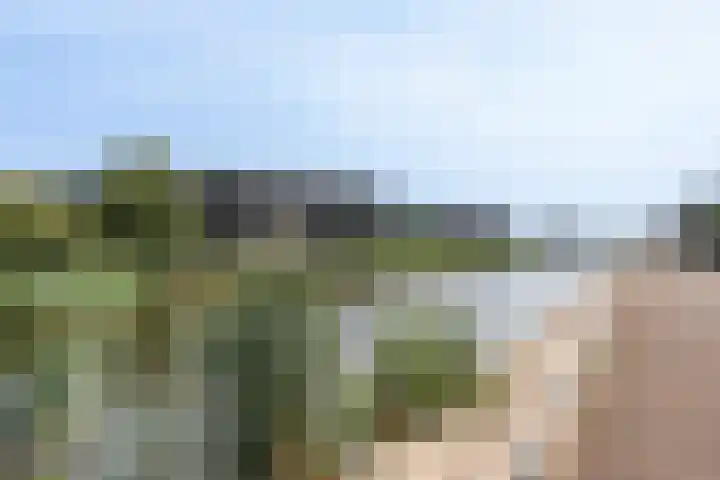 Maasdijk 337 Breda thumbnail 34