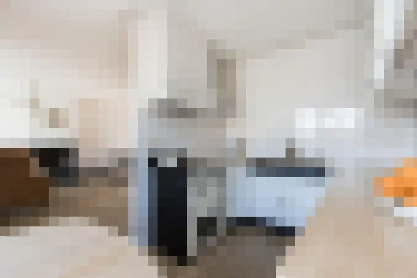 Maasdijk 347 Veen thumbnail 16
