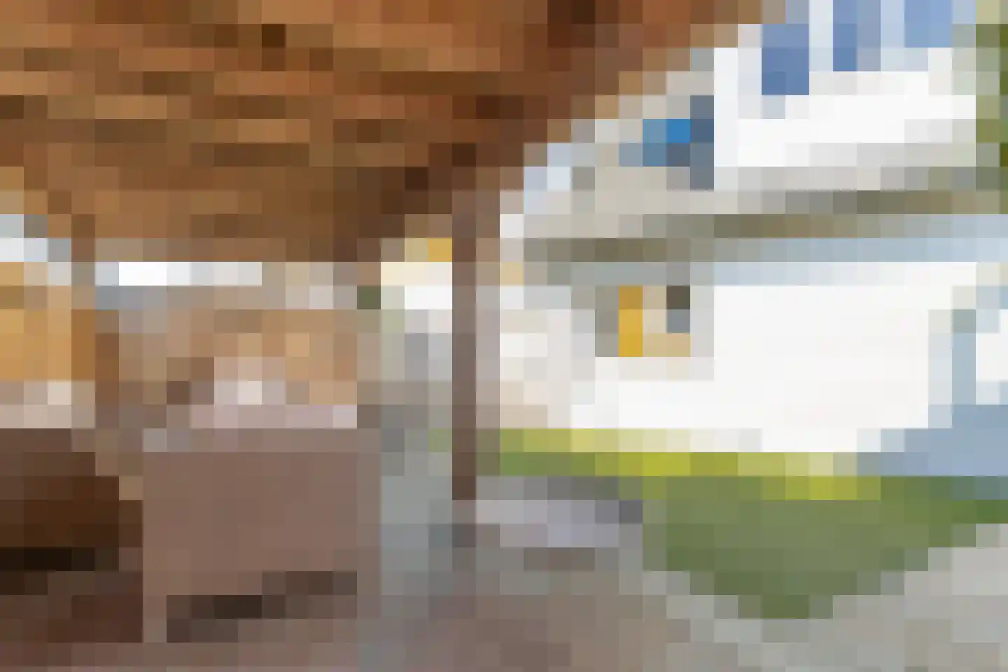 Maasdijk 347 Veen thumbnail 20