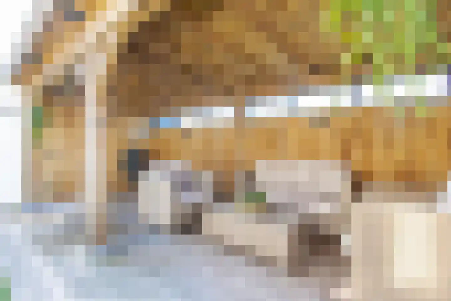 Maasdijk 347 Veen thumbnail 21