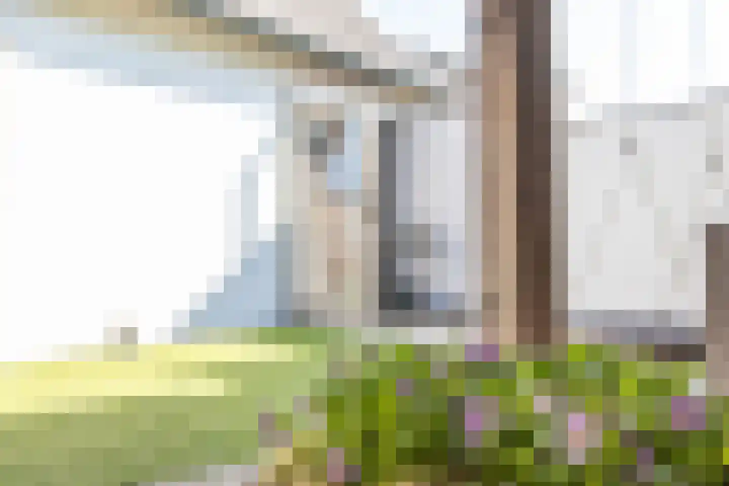 Maasdijk 347 Veen thumbnail 23