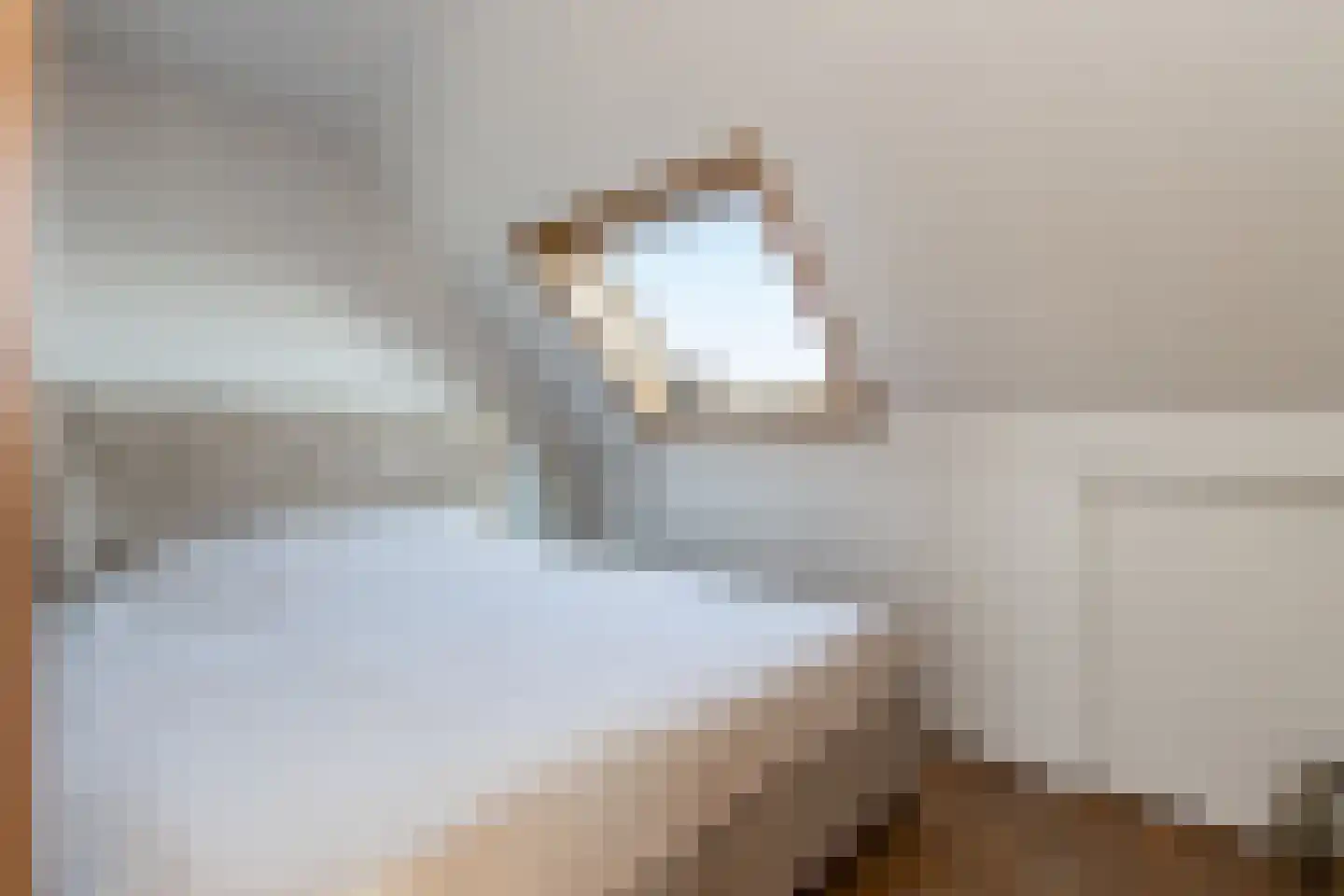 Maasdijk 347 Veen thumbnail 27