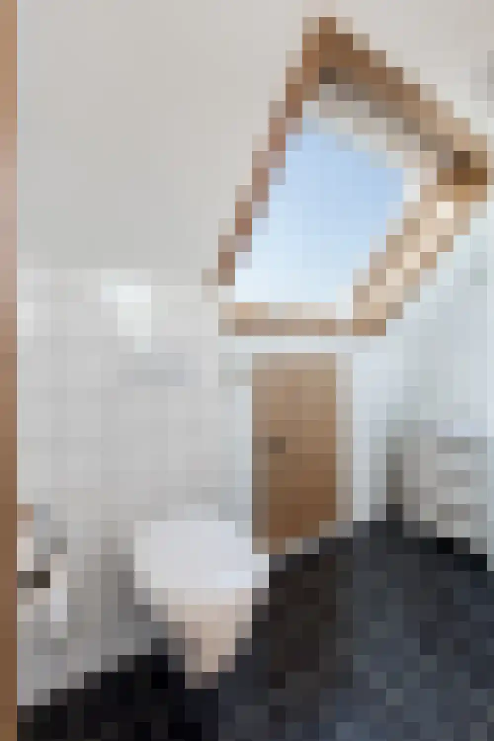 Maasdijk 347 Veen thumbnail 31