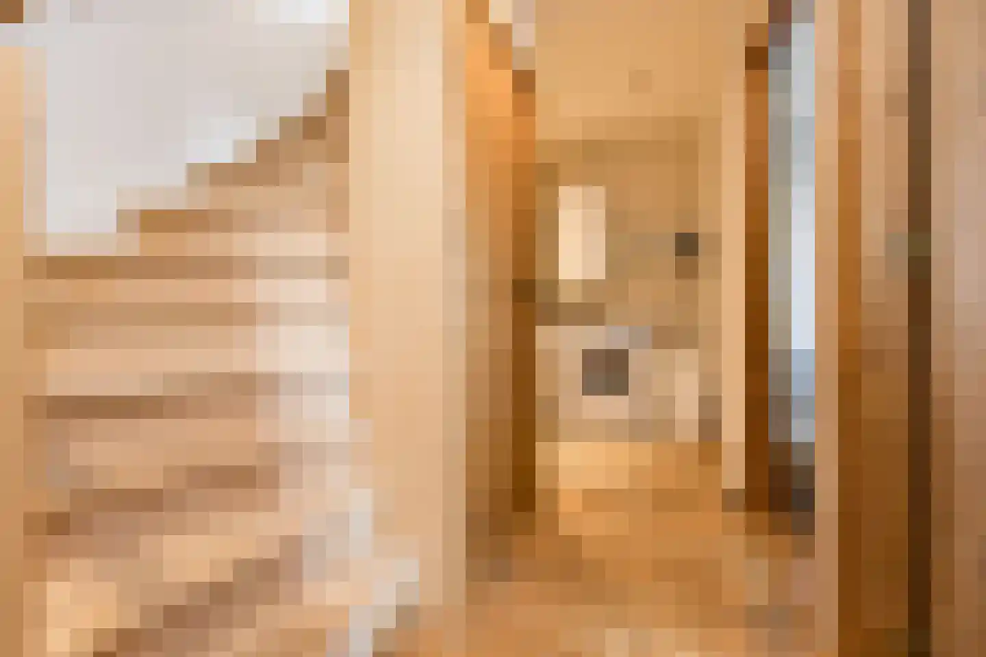 Maasdijk 347 Veen thumbnail 32