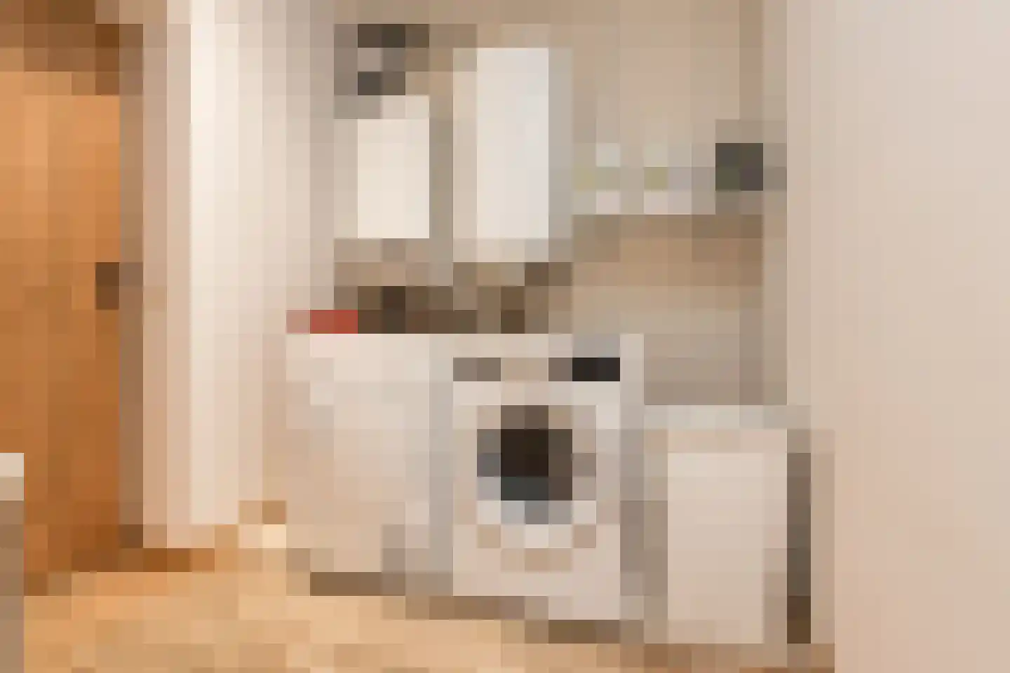Maasdijk 347 Veen thumbnail 33