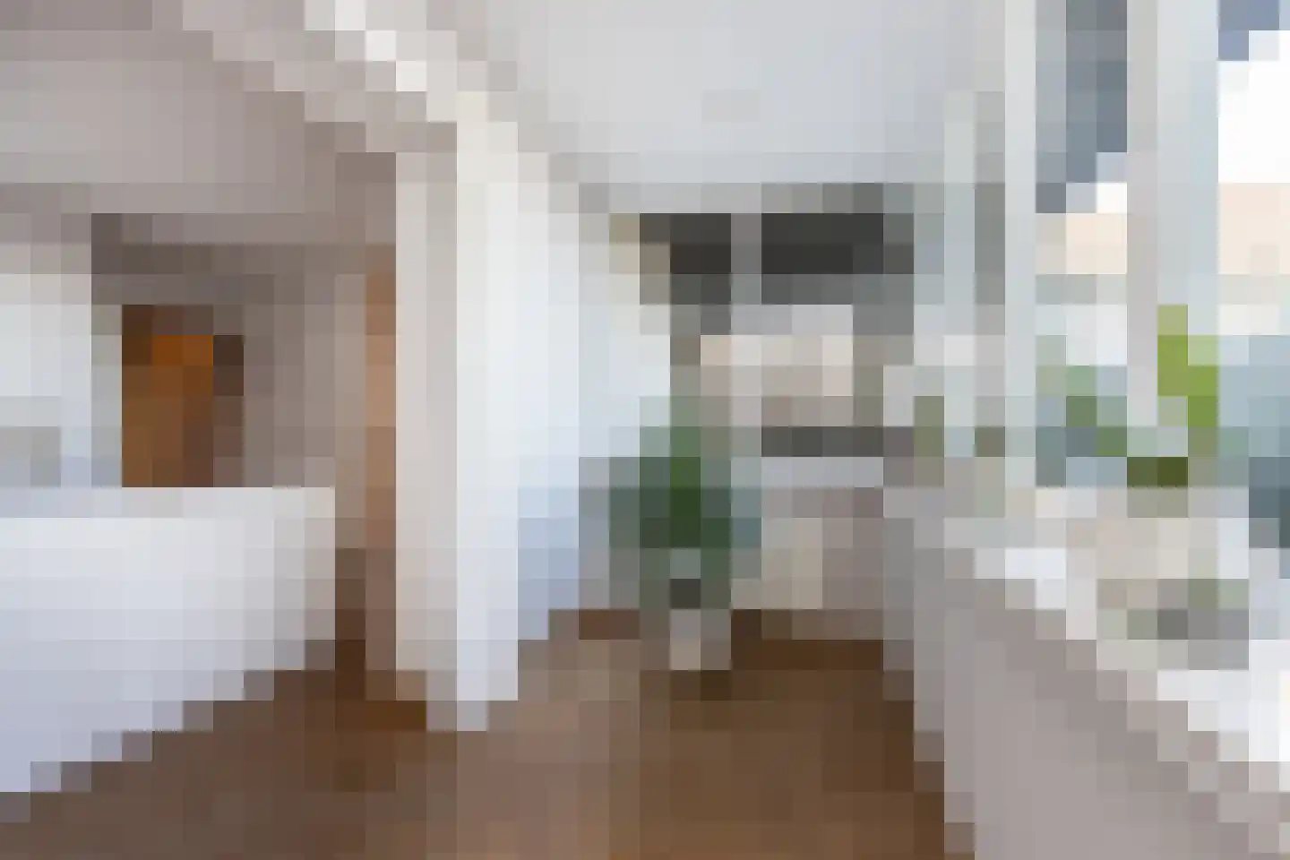 Maasdijk 347 Veen thumbnail 38