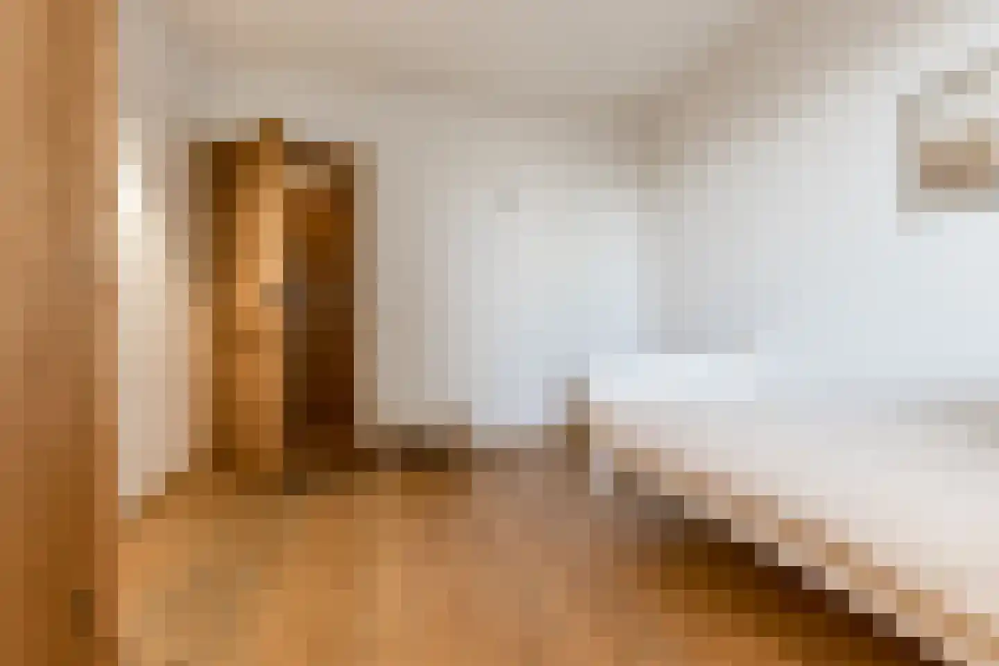 Maasdijk 347 Veen thumbnail 41