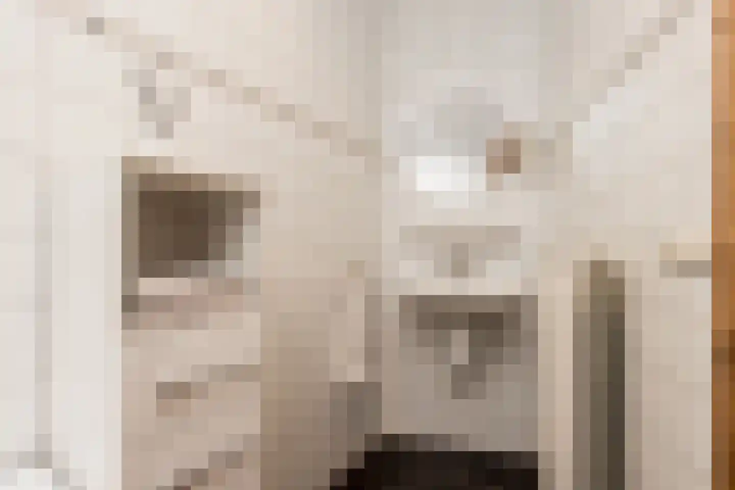 Maasdijk 347 Veen thumbnail 43