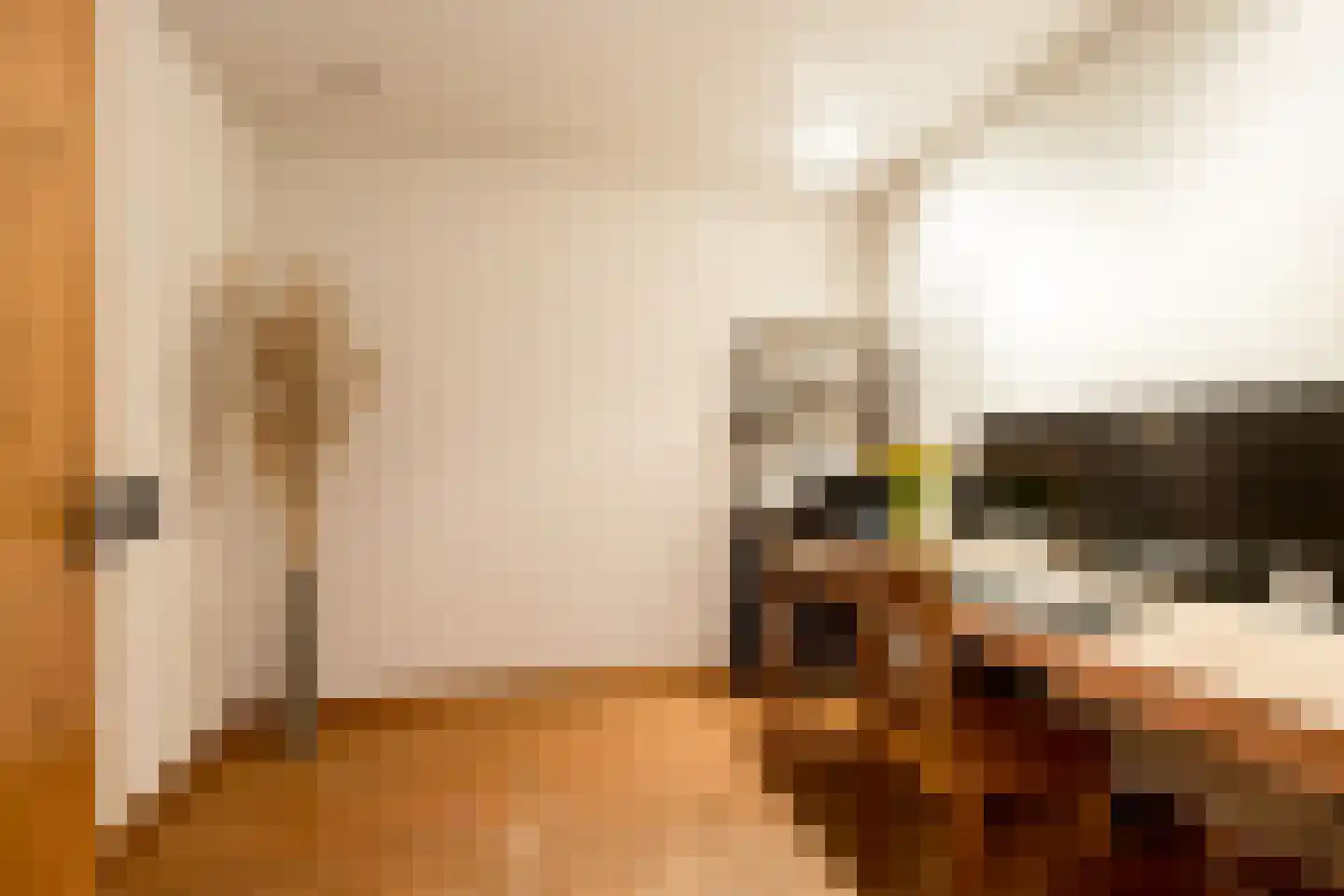 Maasdijk 347 Veen thumbnail 47