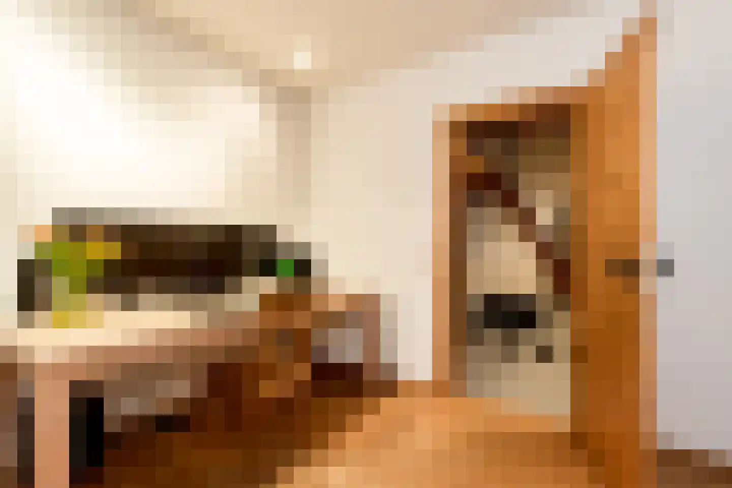 Maasdijk 347 Veen thumbnail 48