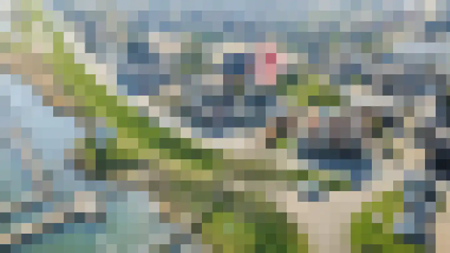Maasdijk 347 Veen thumbnail 57