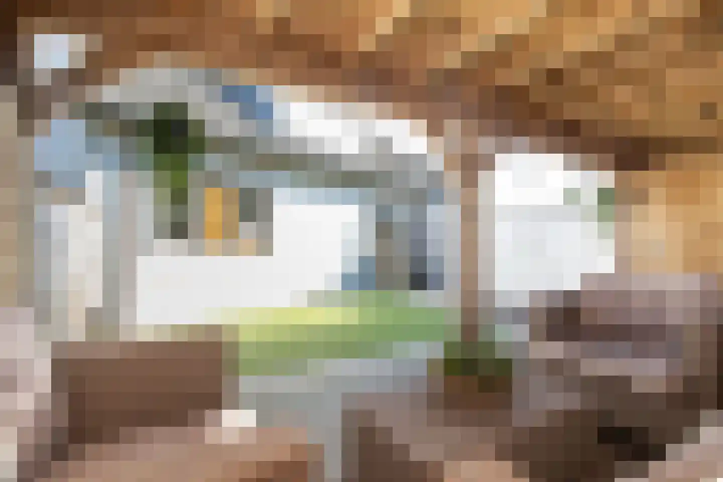 Maasdijk 347 Veen thumbnail 58