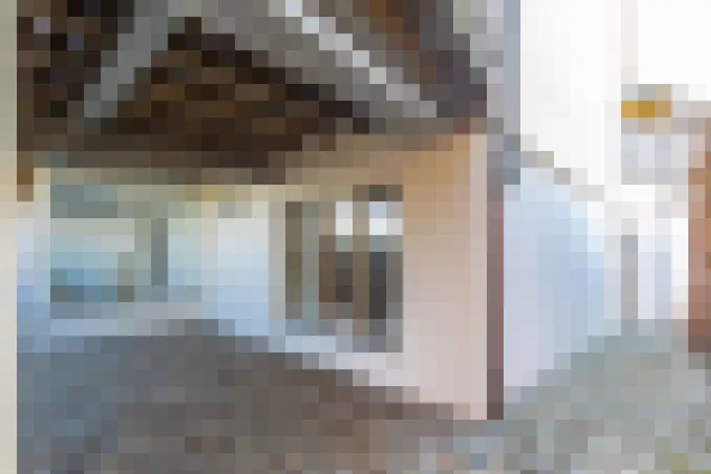 Maasdijk 347 Veen thumbnail 62