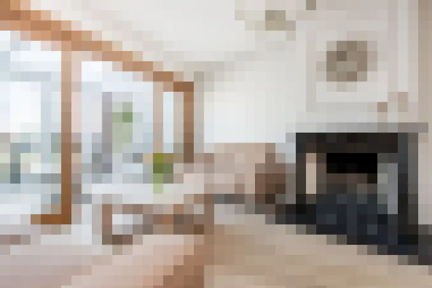 Maasdijk 347 Veen thumbnail 9