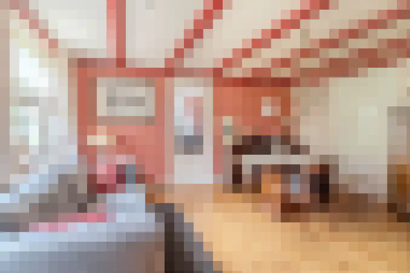Maasdijk 369 Veen thumbnail 11