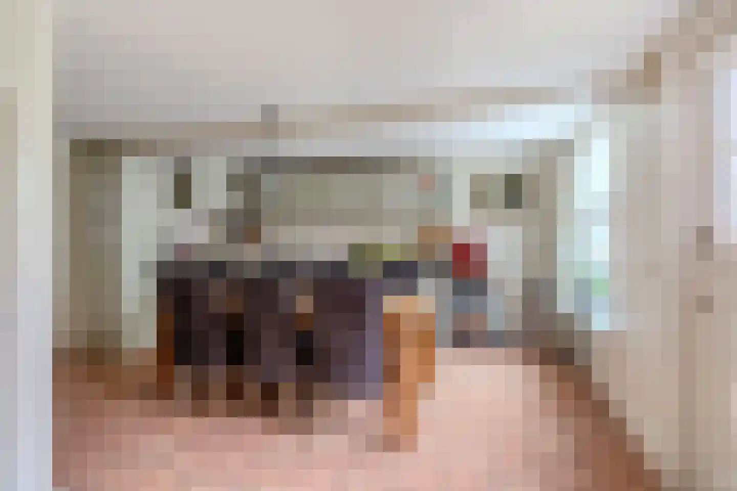 Maasdijk 369 Veen thumbnail 13