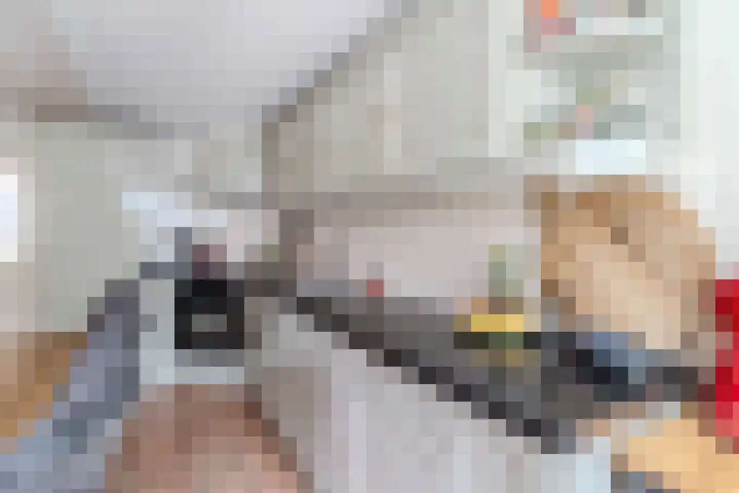 Maasdijk 369 Veen thumbnail 14