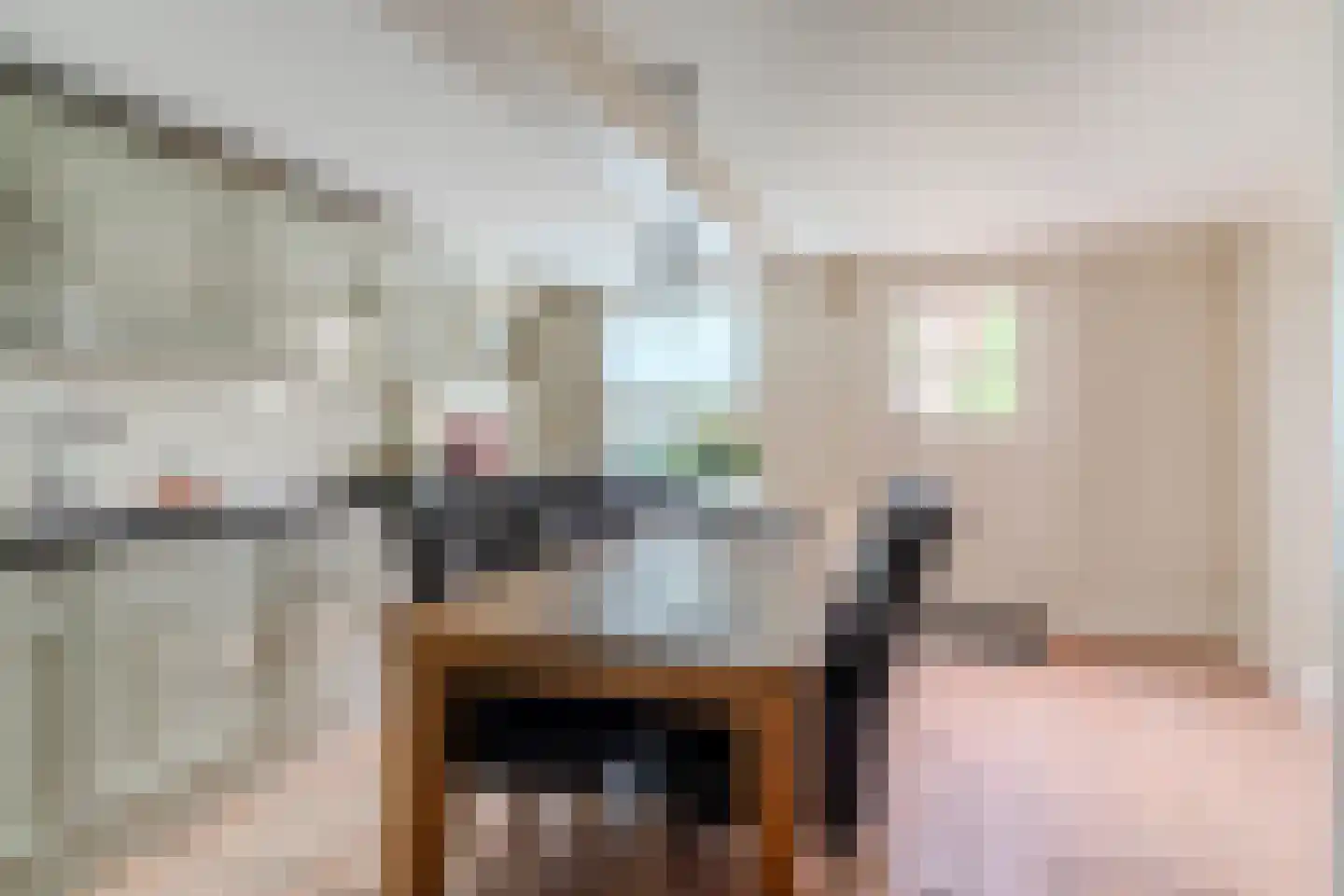 Maasdijk 369 Veen thumbnail 15
