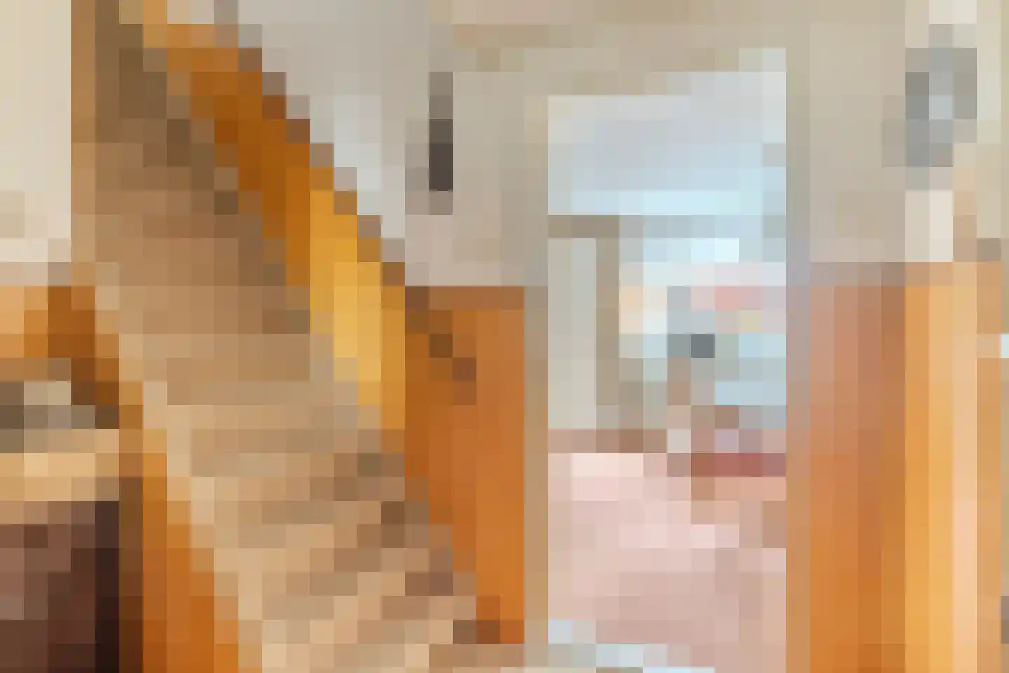 Maasdijk 369 Veen thumbnail 17