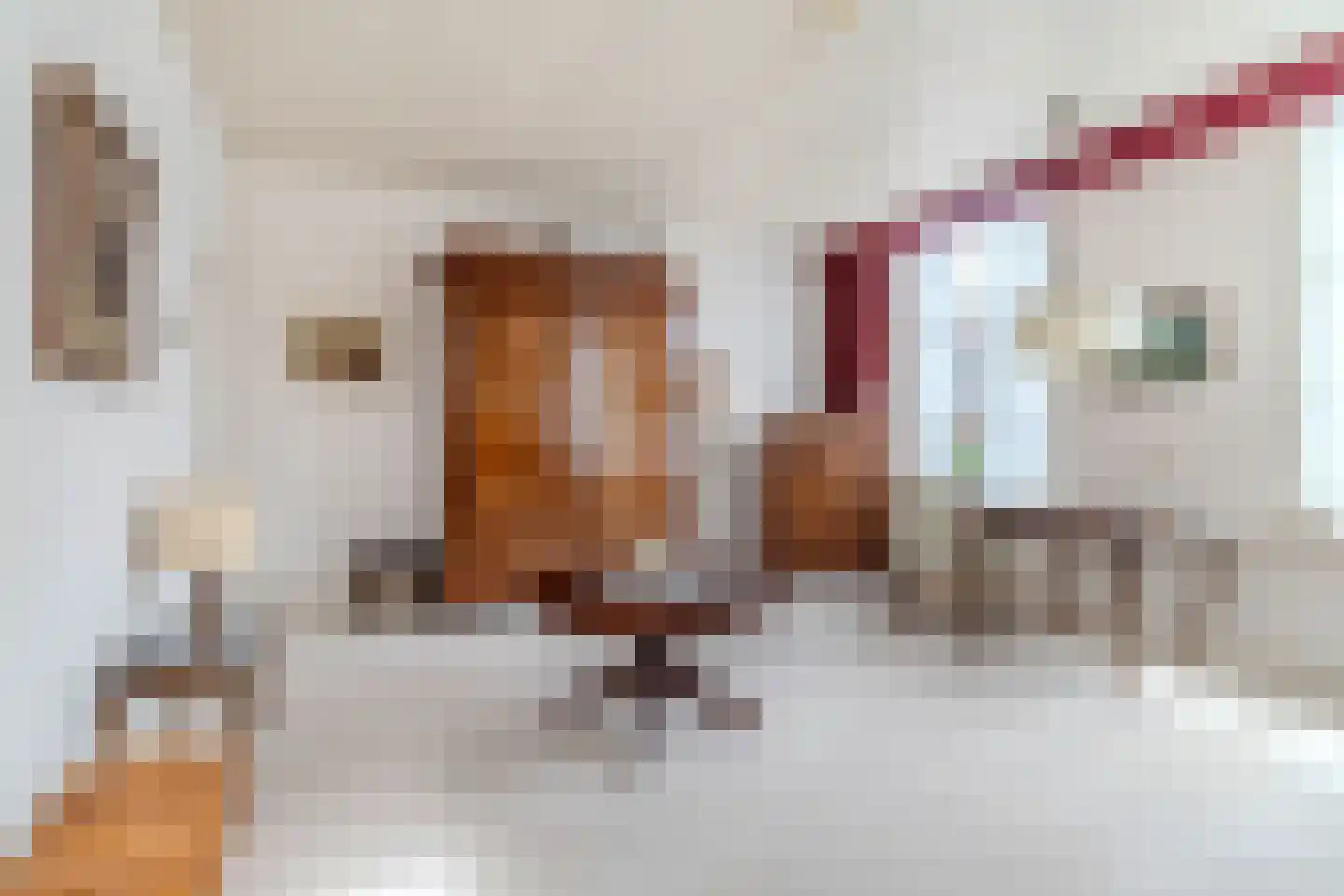Maasdijk 369 Veen thumbnail 19
