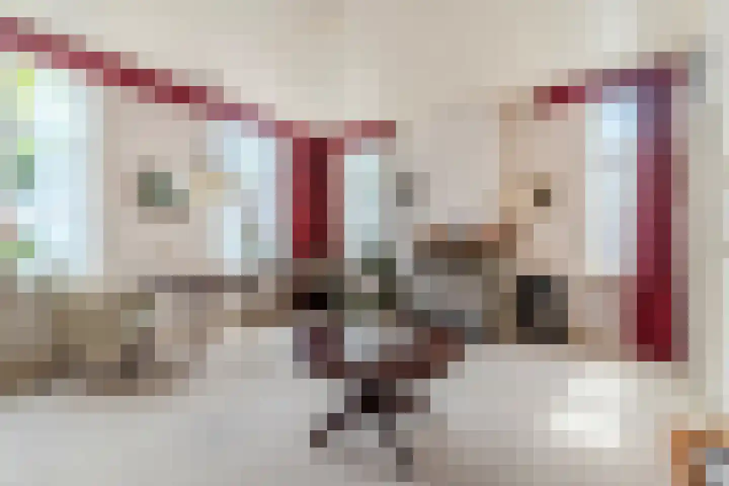Maasdijk 369 Veen thumbnail 20