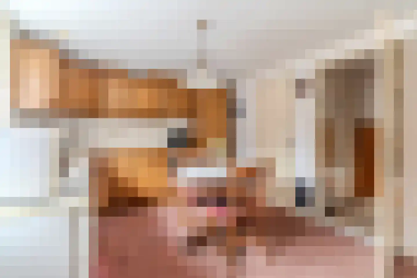Maasdijk 369 Veen thumbnail 24