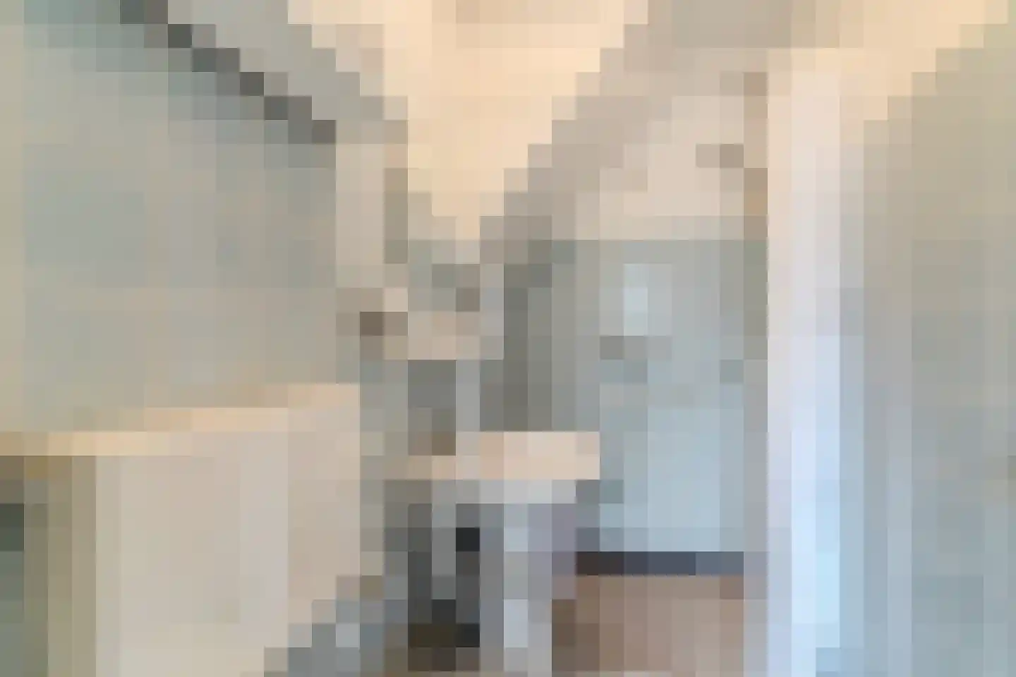 Maasdijk 369 Veen thumbnail 25