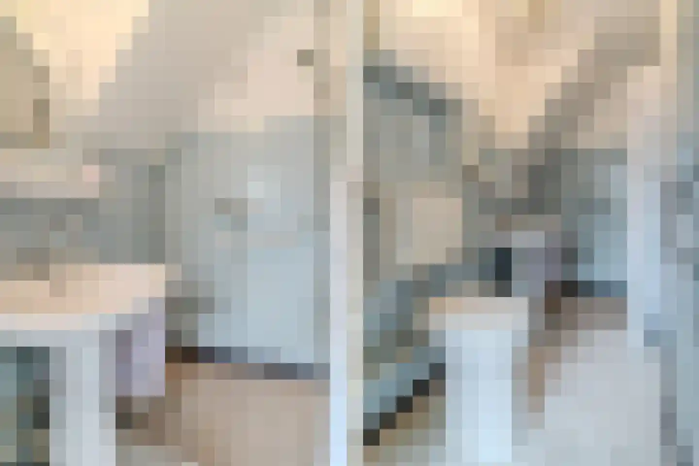 Maasdijk 369 Veen thumbnail 26