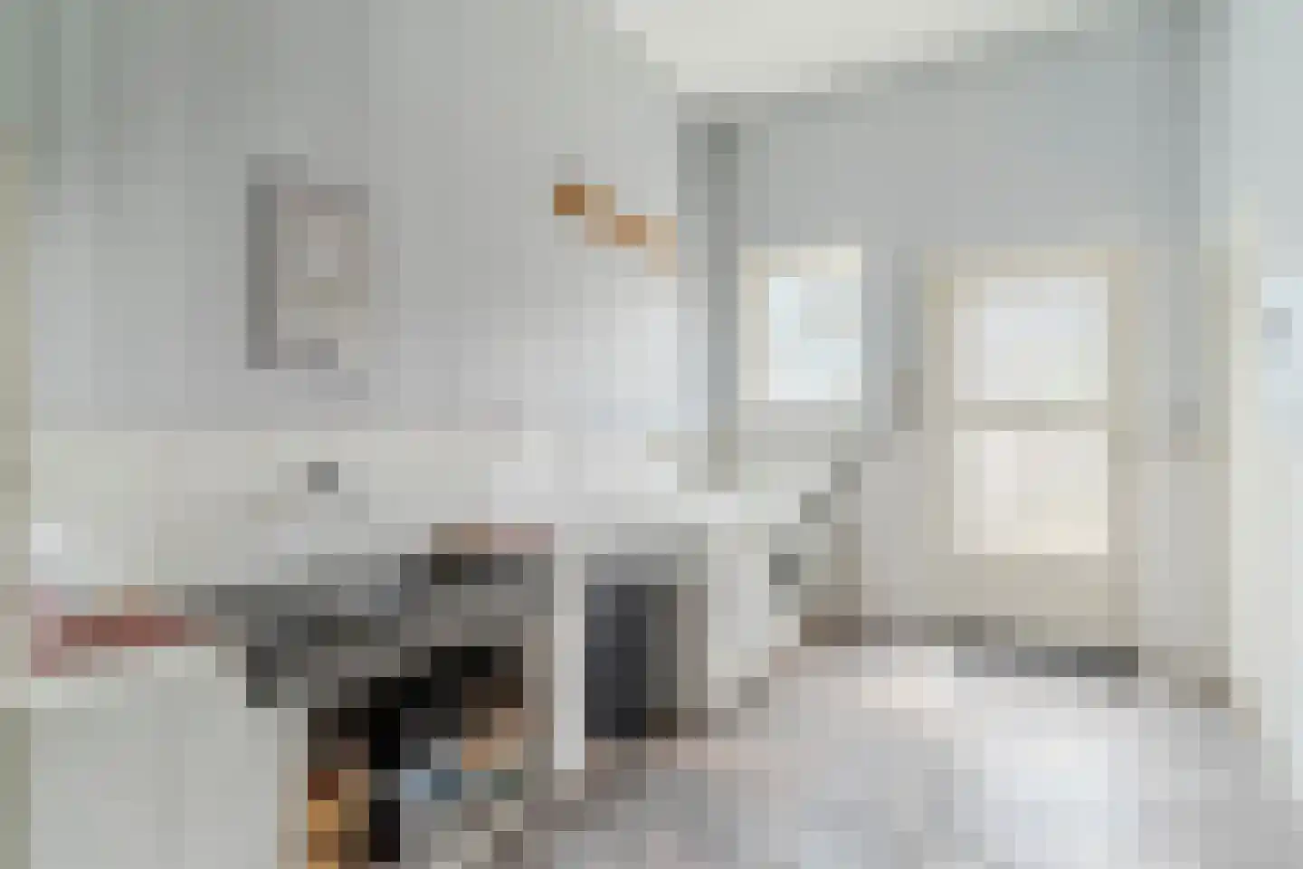 Maasdijk 369 Veen thumbnail 27
