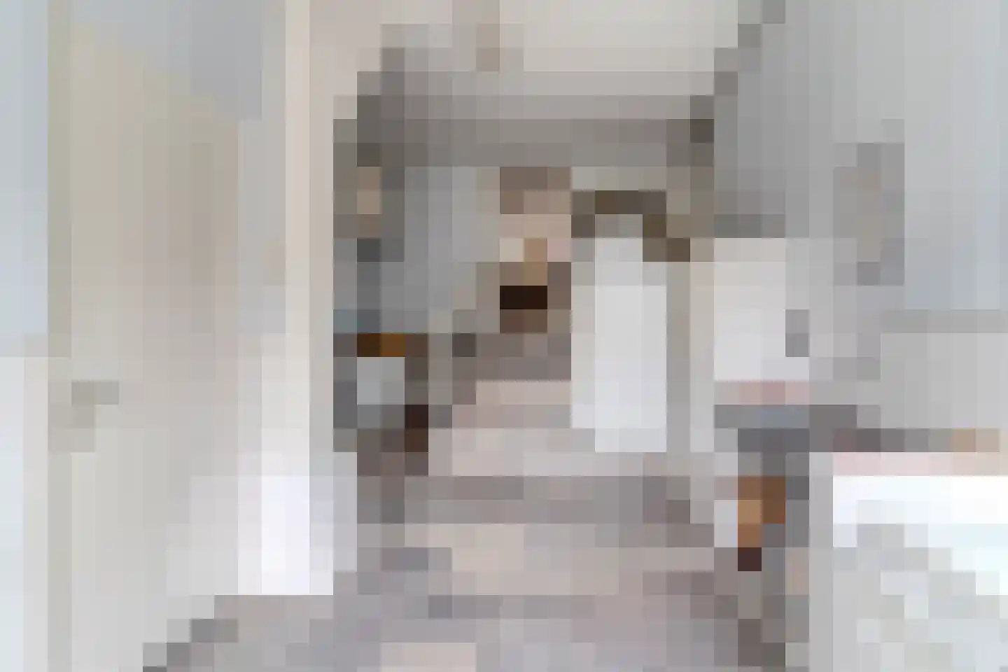 Maasdijk 369 Veen thumbnail 28