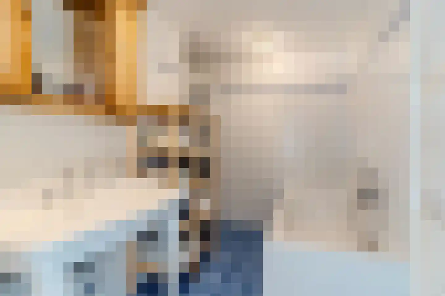 Maasdijk 369 Veen thumbnail 30