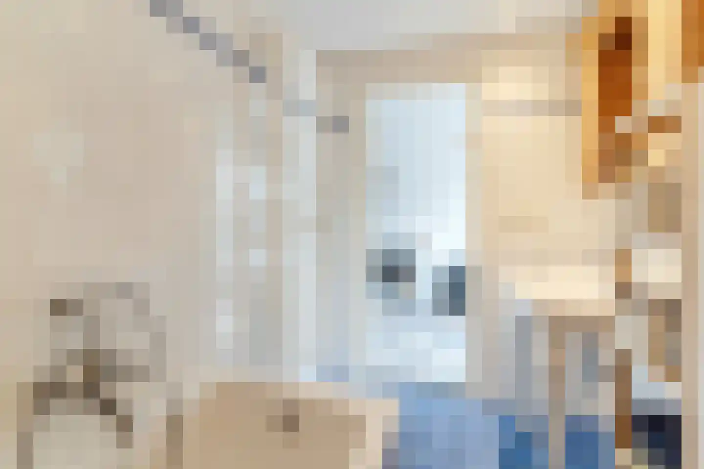 Maasdijk 369 Veen thumbnail 31