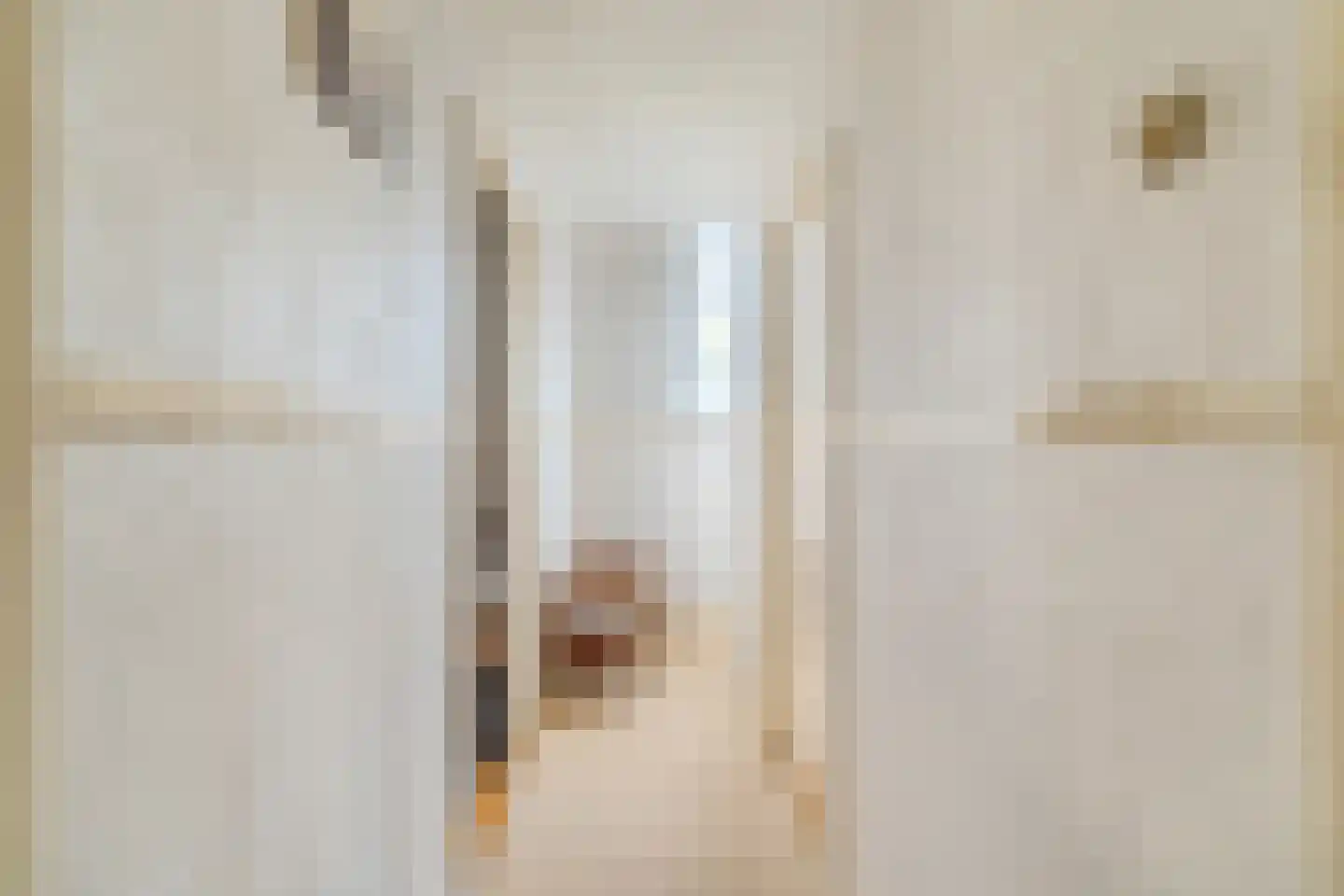 Maasdijk 369 Veen thumbnail 34