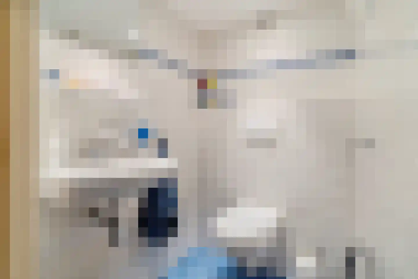 Maasdijk 369 Veen thumbnail 35