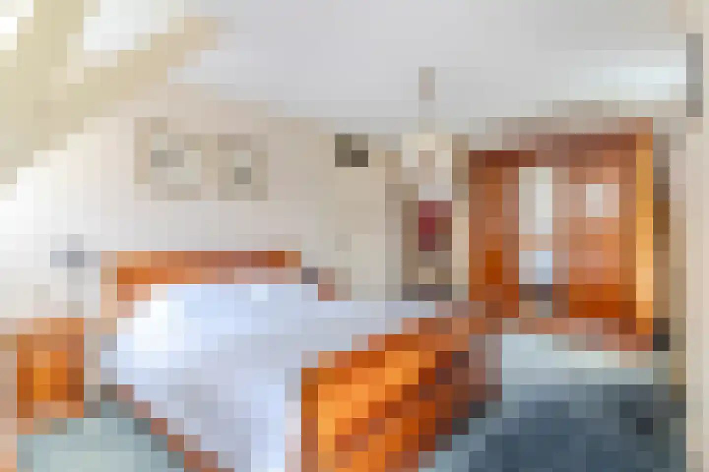 Maasdijk 369 Veen thumbnail 37