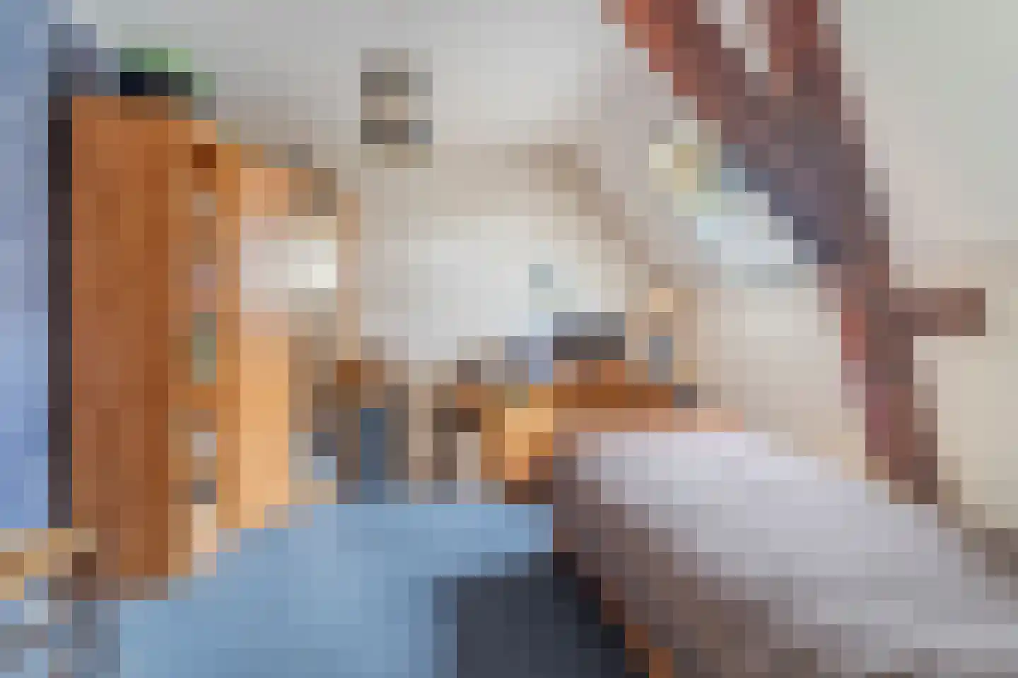 Maasdijk 369 Veen thumbnail 39