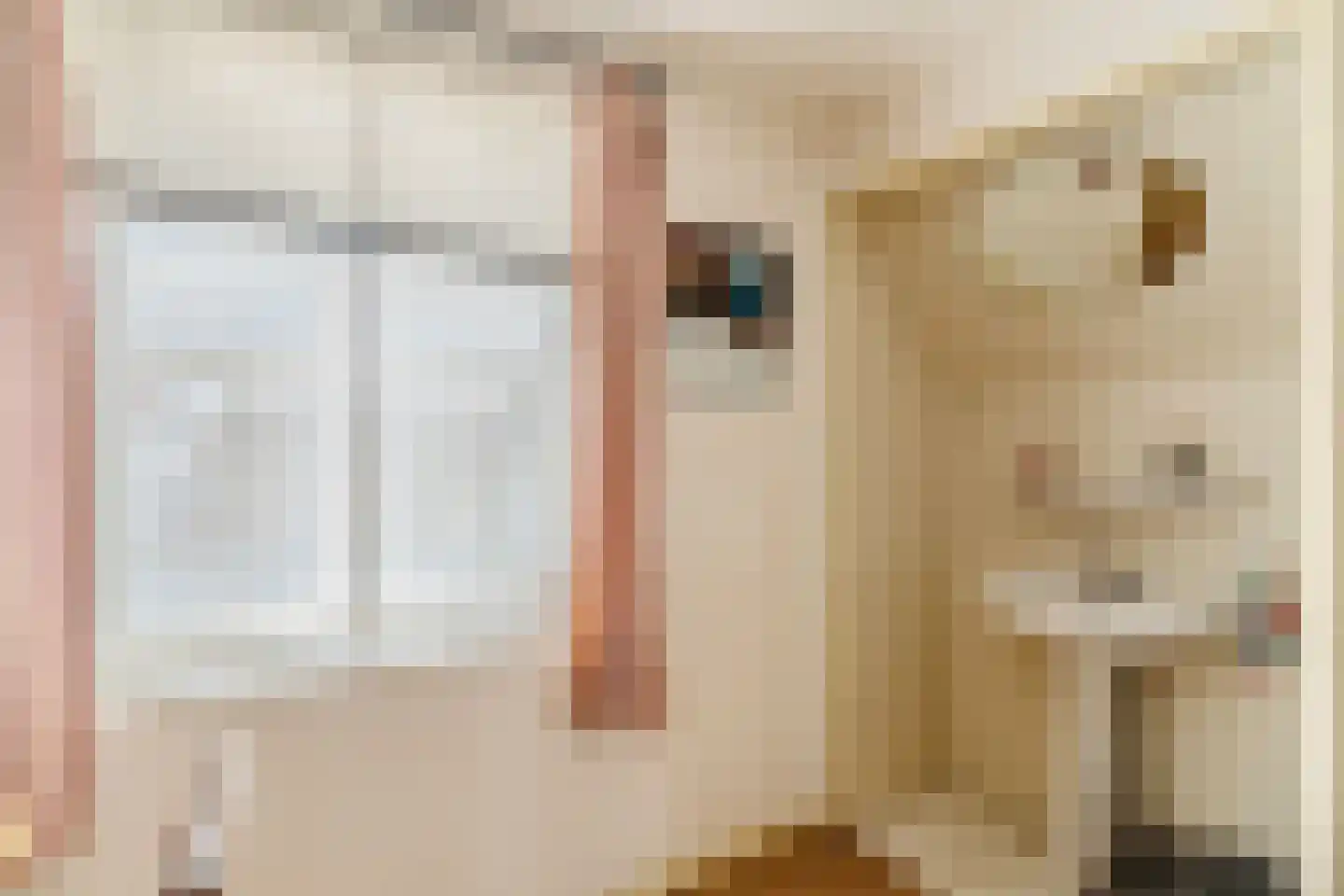 Maasdijk 369 Veen thumbnail 43