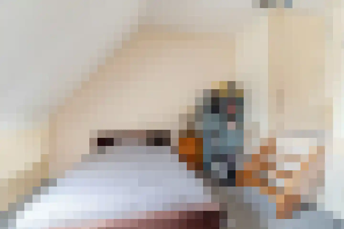 Maasdijk 369 Veen thumbnail 44