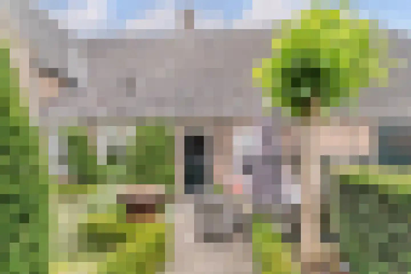 Maasdijk 369 Veen thumbnail 46
